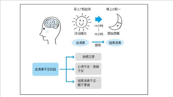 人为什么需要睡眠那么久(关联：人为什么需要睡眠书)