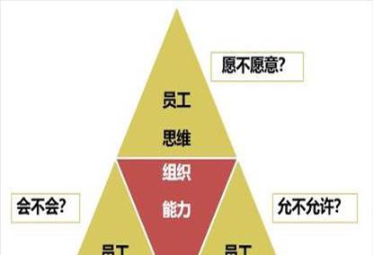 人力资源知识分享(人力资源知识分享ppt)