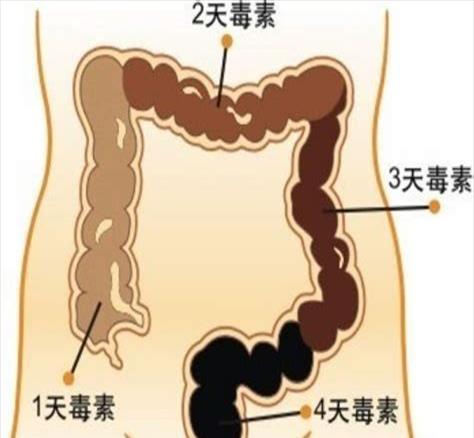 便秘有哪些原因引起的引起(便秘有哪些原因有哪些)