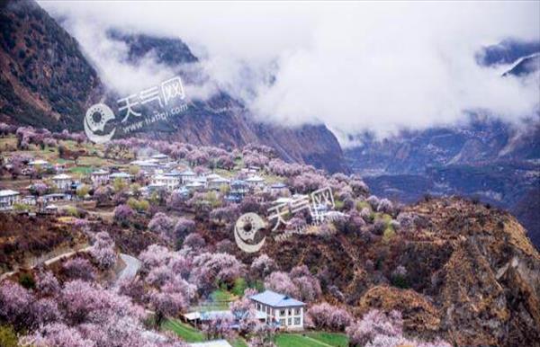 北京三月份旅游的最佳地方(北京三月份去哪玩最好)