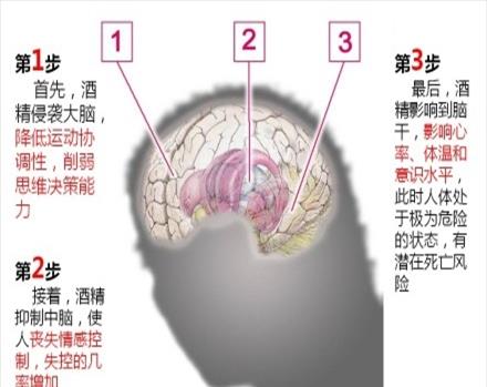 喝醉了喝白开水有用吗(醉酒喝开水还是冷水)