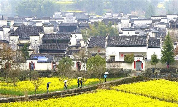 在校大学生送外卖(送外卖是社会底层吗)