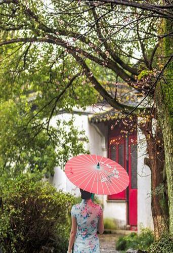 多少楼台烟雨中这句诗的意思(多少楼台烟雨中是谁的诗)