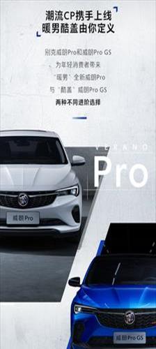 威朗pro介绍(附录：威朗pro车型全新上市)