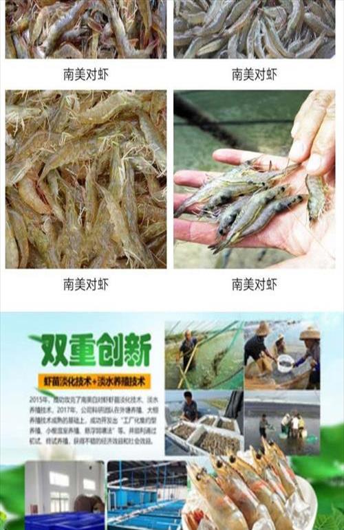 对虾养殖用淡水还是海水(淡水养殖的对虾属于海鲜还是河鲜)