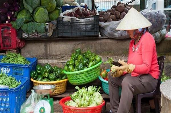 小区卖菜怎么样卖才能赚钱快(小区卖菜怎么样卖才能赚钱呢)