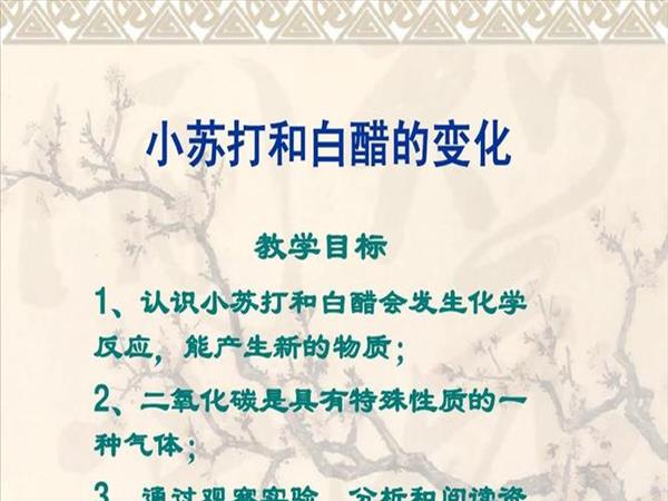 小苏打与白醋怎么用(附录：小苏打和白醋什么原理)