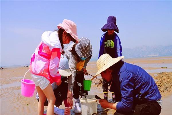 山东青岛赶海视频(青岛赶海圣地)