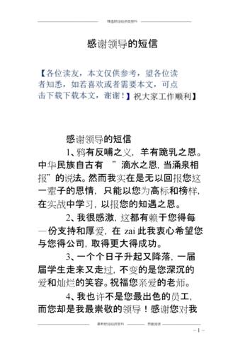 怎么样感谢领导读完自己的文章(感谢领导什么样的讲话)