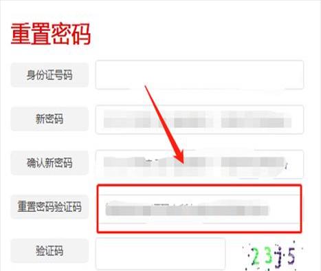 智慧团建的重置密码验证码在哪(智慧团建重置密码验证码怎么办)