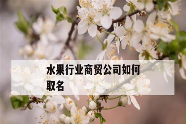 服务行业怎么取名(服务行业名字大全)