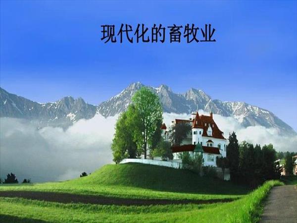 未来畜牧业养殖发展前景(延申：畜牧行业发展前景)