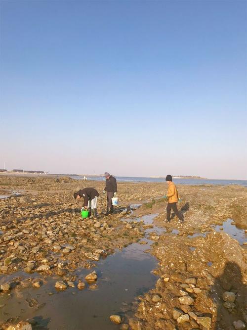 李家台赶海园几点退潮(李家台赶海园在哪里)