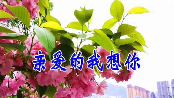 歌曲多少次想你简谱山风演唱(歌曲多少次想你文案)