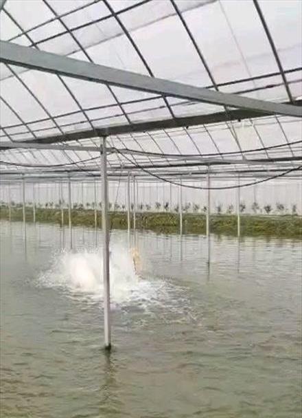 水产养殖大棚建设技术规范(水产养殖棚搭建图)