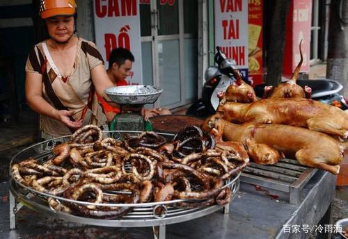 猫肉能吃吗民间说法(哪个国家吃猫肉)