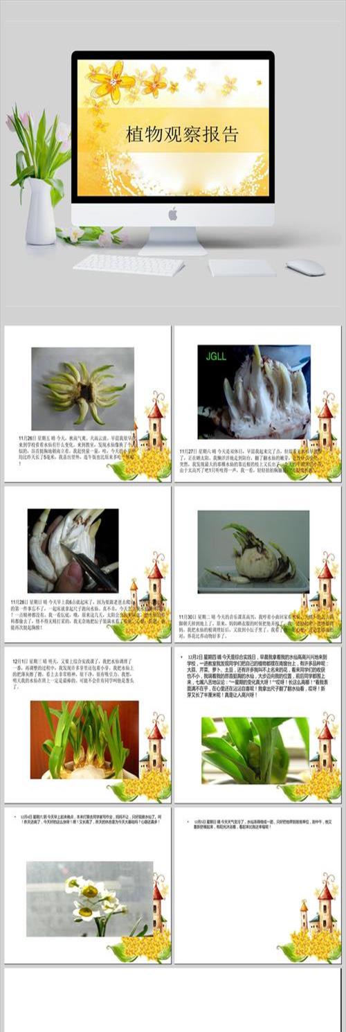 种植的小知识(关联：种植小知识内容)