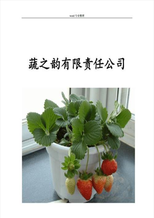 种植蔬菜计划书(蔬菜养殖技术)
