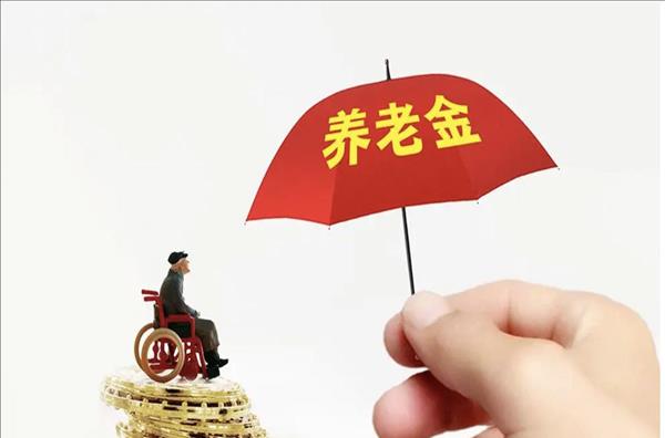 退休教师补交养老保险金是真是假(退休教师讨薪规定)