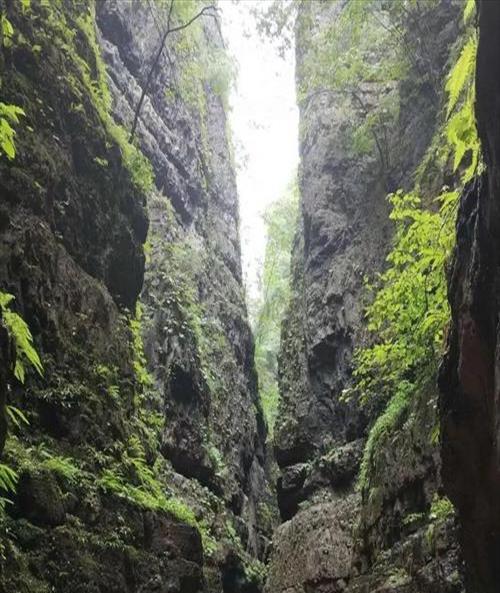 野三坡游玩路线(野三坡天气预报)