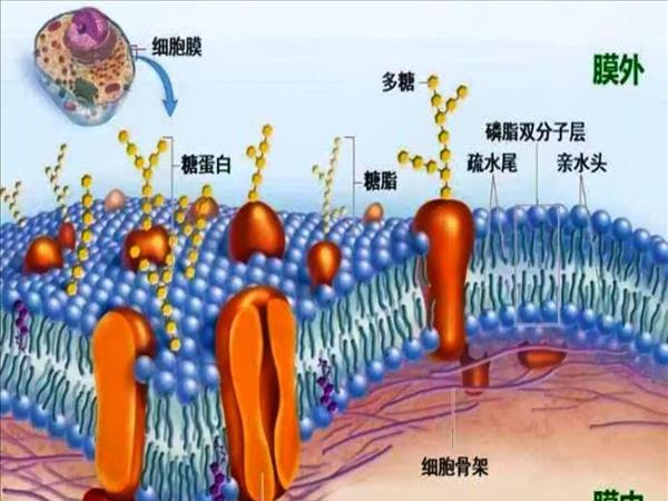 阅读后关注(阅读后关注人数)