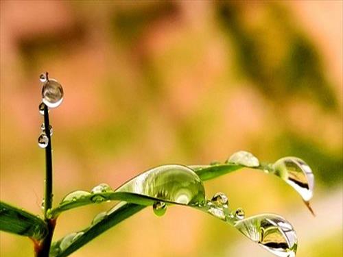 雨珠什么意思(雨珠是怎么来的)