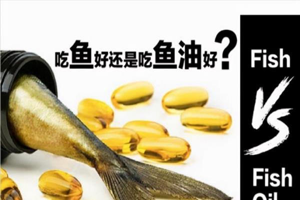 鱼油有什么功效和作用禁忌(扩展：鱼油有什么功效和作用怎么吃)
